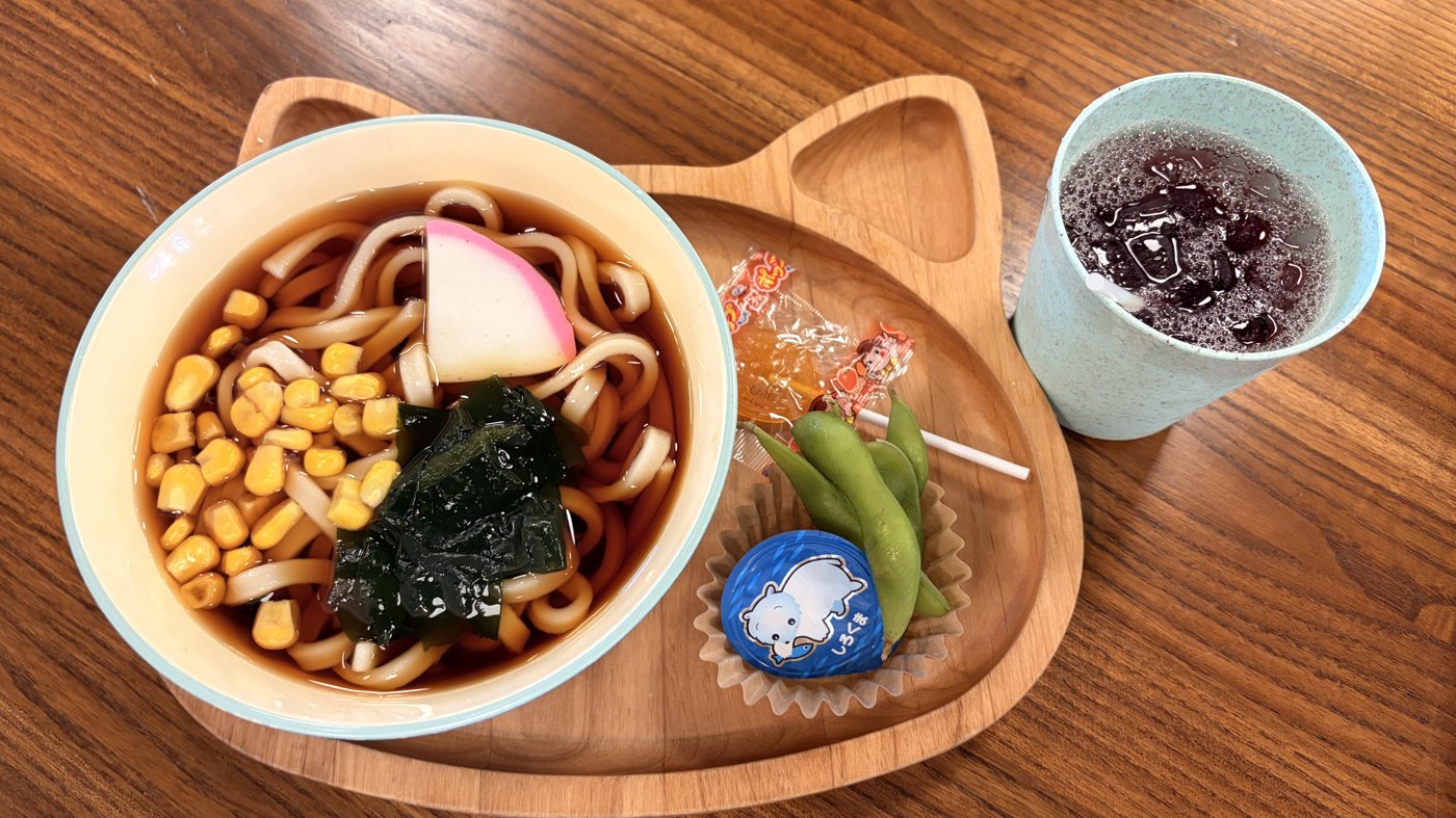 子ども向けの冷たいうどんのプレート