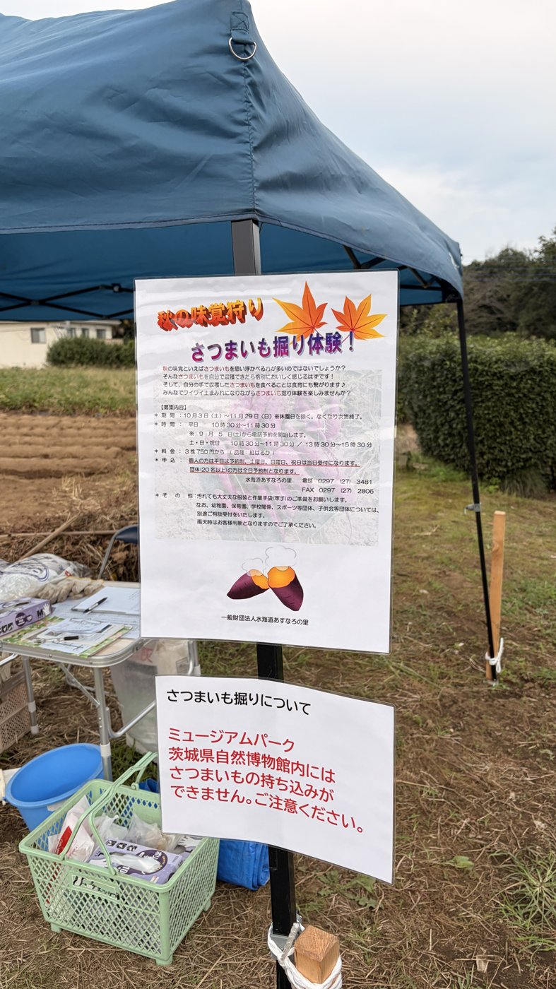 さつまいも掘り体験の案内