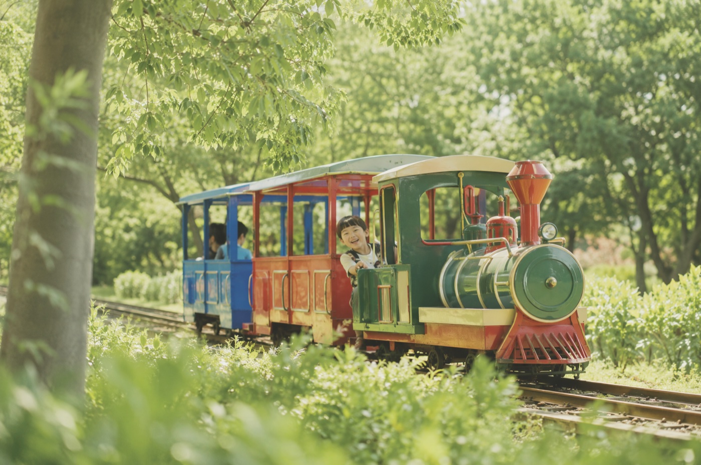 ミニ鉄道に乗って園内を走る子どものイラスト